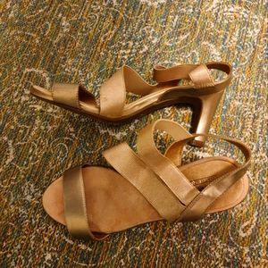 Coach and Four Size 8 Shoe